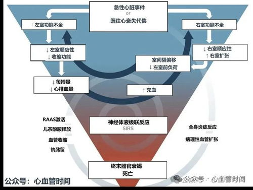 一圖看懂心源性休克機制 信息處理與存儲服務視角